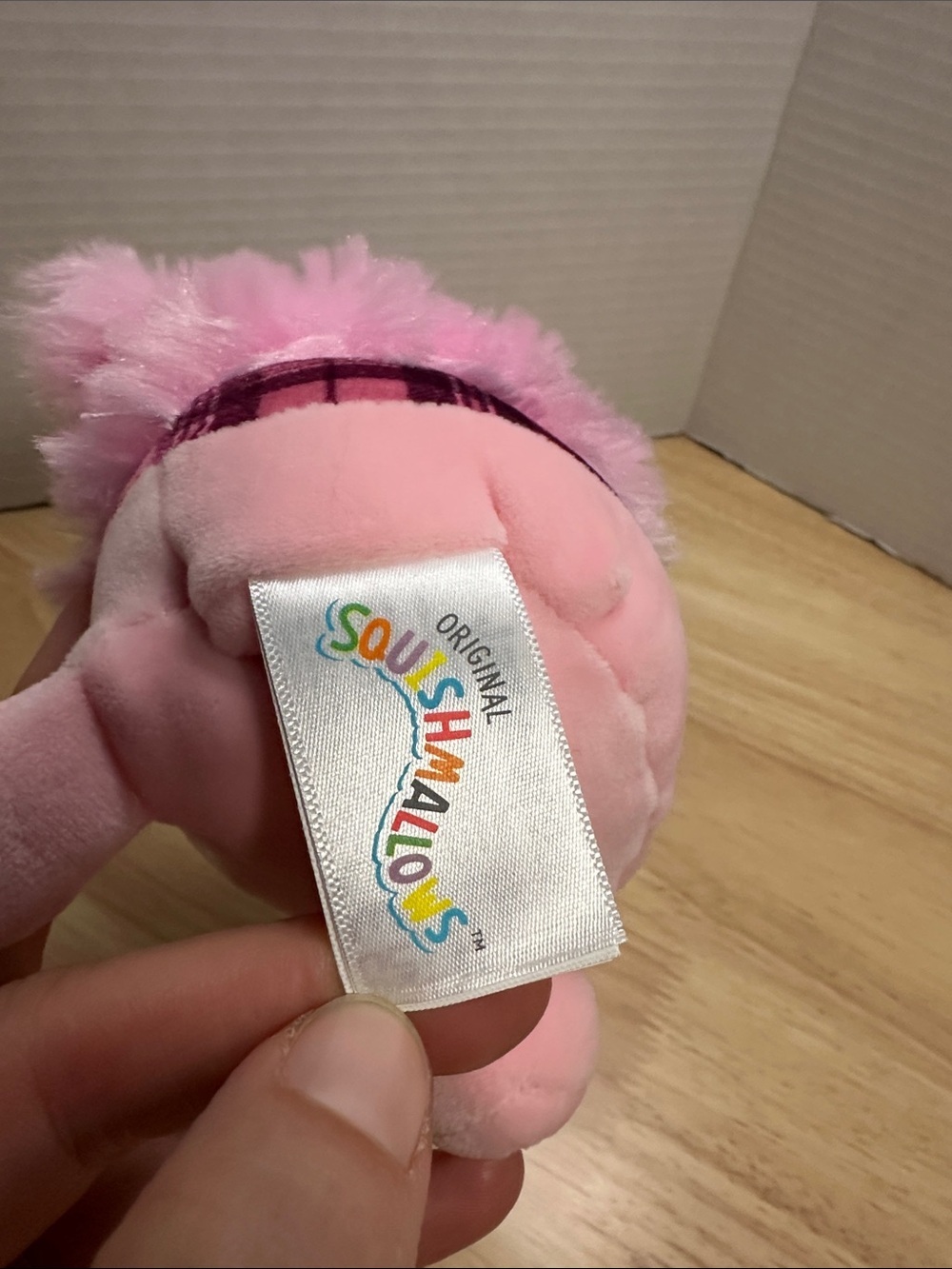 Brina the Bigfoot Squishmallow 4 inches Chistmas Ornament ๐ ๐
NWT - Picture 10 of 10